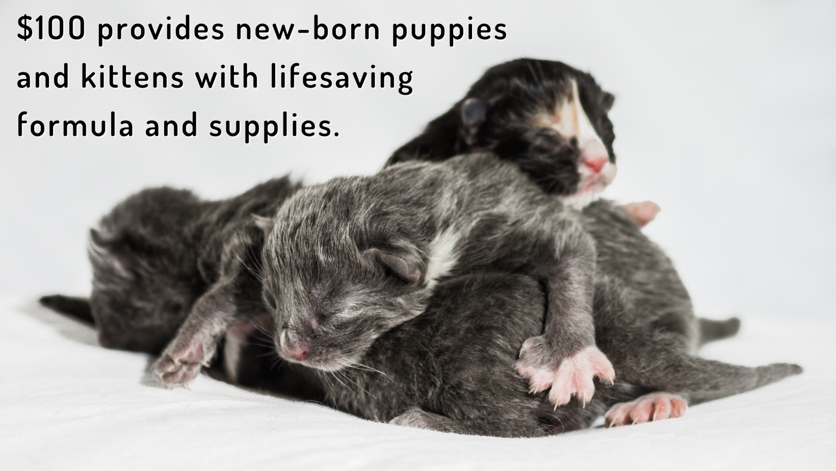 Every Bit Counts (2).png