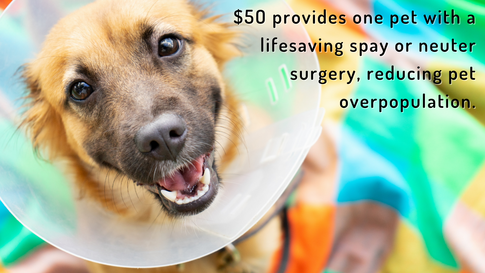 Every Bit Counts (3).png