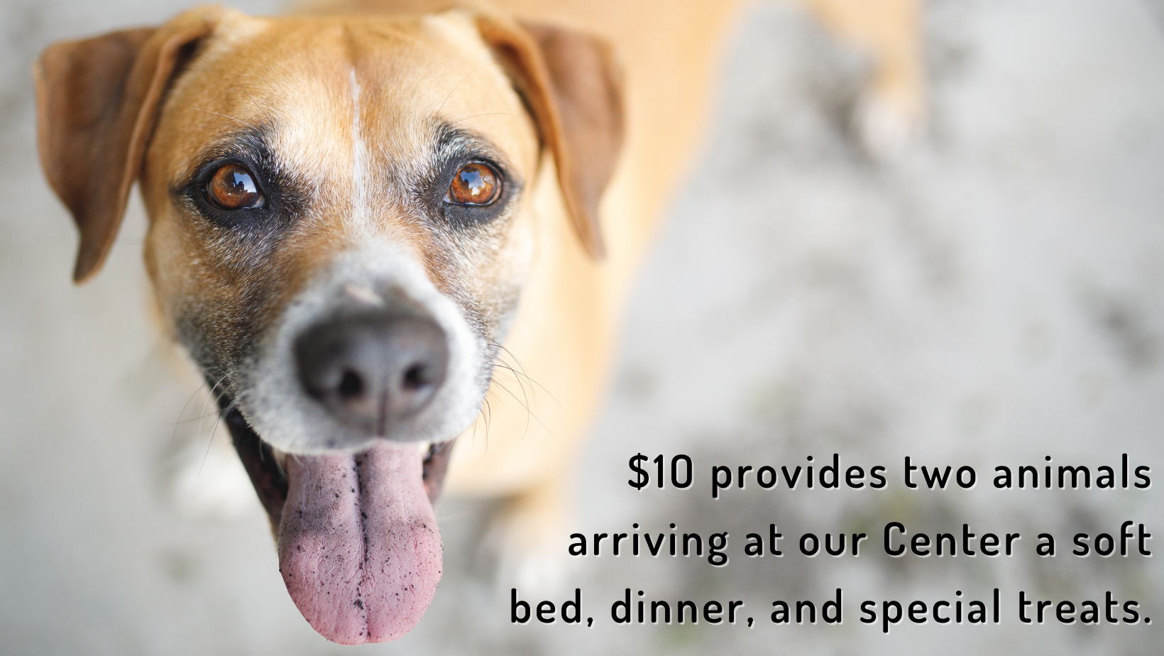 Every Bit Counts (8).png