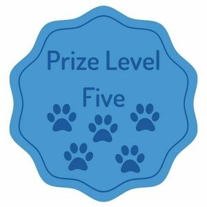 Prize Level Five