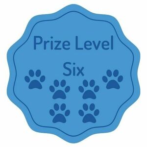Prize Level Six