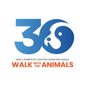 Team Page: MSRPAC Board